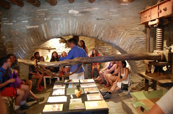 cyclades-olive-museum