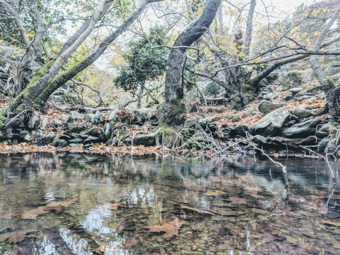 IMG_20181015_122732~2